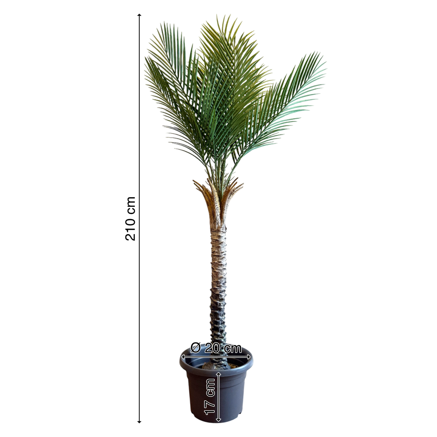 Tropische Palme | künstliche Pflanze | Dekoration | im Topf | 210 cm