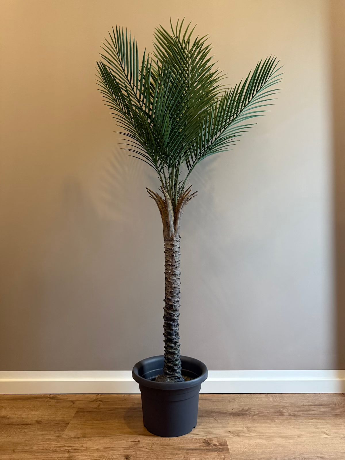 Tropische Palme | künstliche Pflanze | Dekoration | im Topf | 210 cm