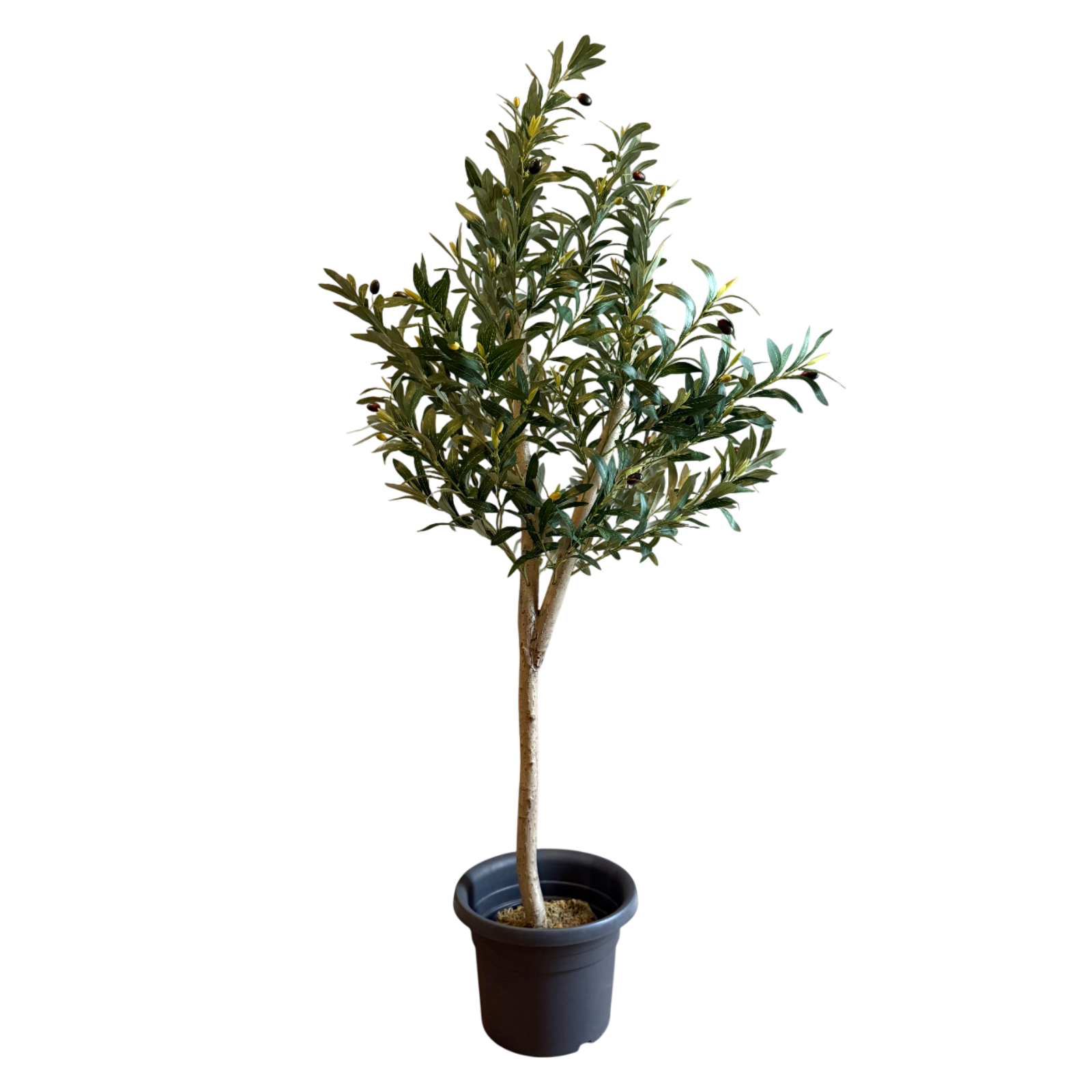Olivenbaum | künstliche Pflanze | Dekoration | im Topf | 150 cm