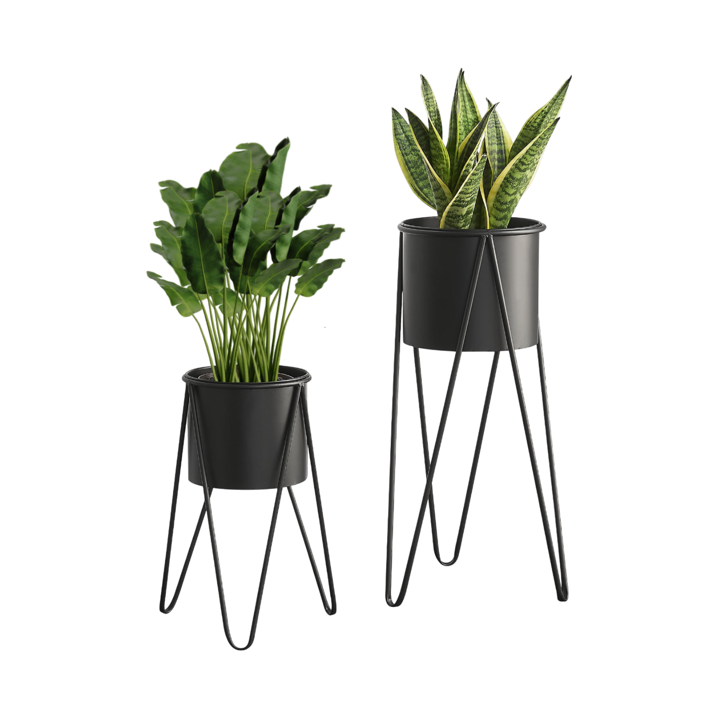 Blumenständer mit Übertopf | Stahl | Schwarz | Set mit 2 Höhen