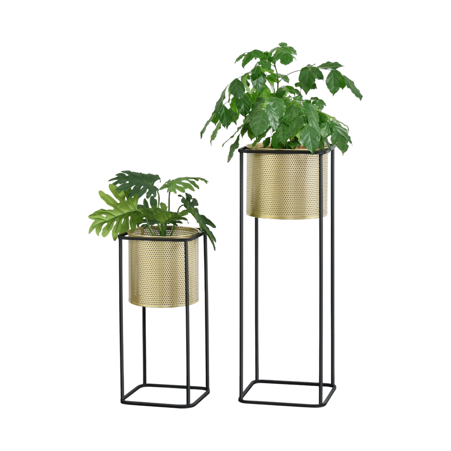 Blumenständer mit Übertopf | Stahl | Schwarz-Gold | Set mit 2 Höhen