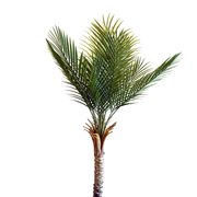 Tropische Palme | künstliche Pflanze | Dekoration | im Topf | 150 cm